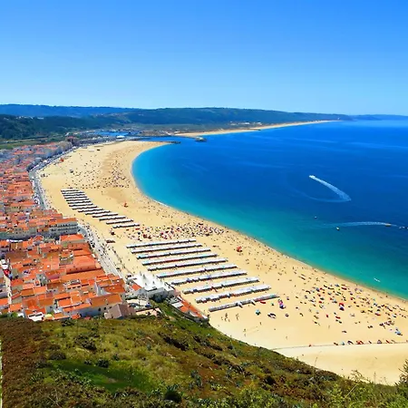 5ª Vigia